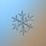 Snowflake on Smooth Blue-Brown Gradient Background. this is Macro Photo of Real Snow Crystal: Large-Alexey Kljatov-Photographic Print