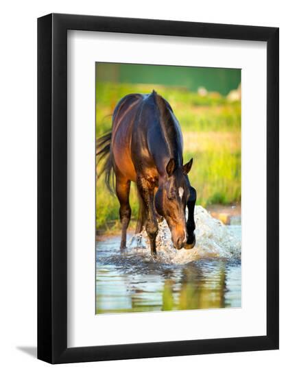 Premium Photographic Print, , large