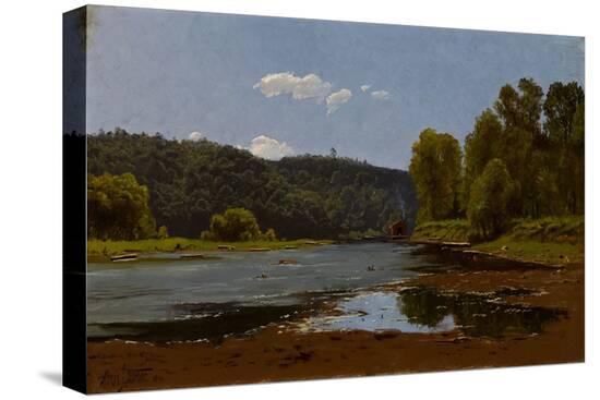 Stretched Canvas Print, , large