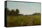Stretched Canvas