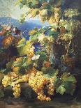 Still Life of Grapes-Alexis Kreyder-Framed Stretched Canvas