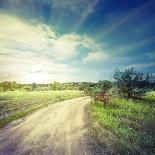Winding Sandy Road in Field under the Daylight Sky-Alexlukin-Photographic Print