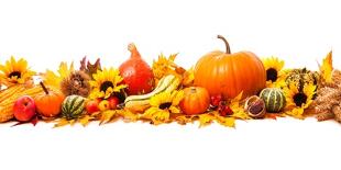 Various Fresh Ripe Pumpkins as Background-AlexRaths-Photographic Print