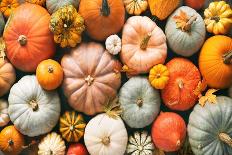 Various Fresh Ripe Pumpkins as Background-AlexRaths-Photographic Print