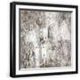 Black Frame
