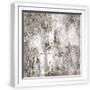 White Frame