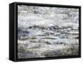 Framed Canvas