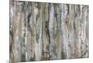 Wood Mount