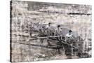 Stretched Canvas