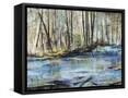 Framed Canvas