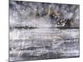 Wood Mount