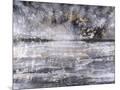 Wood Mount