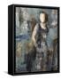 Framed Canvas