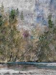 Trees on the Waterfront IV-Alexys Henry-Giclee Print