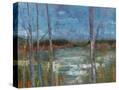 Stretched Canvas