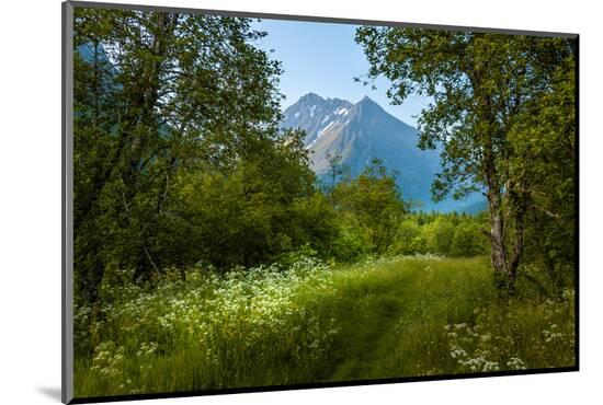 Photographic Print, , large