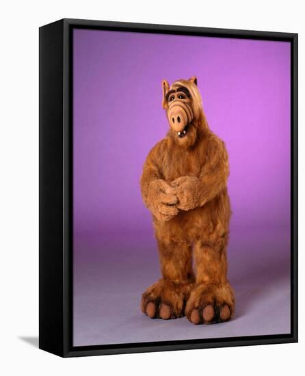 ALF-null-Framed Stretched Canvas