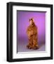 ALF-null-Framed Photo