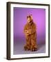 ALF-null-Framed Photo