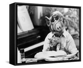 ALF-null-Framed Stretched Canvas