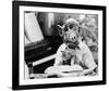 ALF-null-Framed Photo