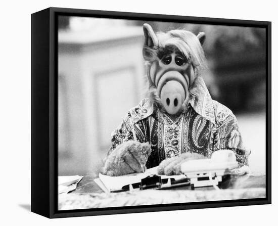 ALF-null-Framed Stretched Canvas