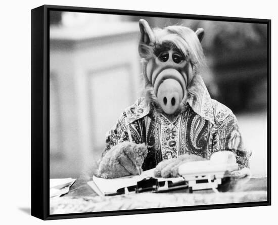 ALF-null-Framed Stretched Canvas