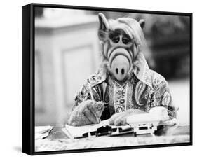 ALF-null-Framed Stretched Canvas