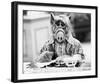 ALF-null-Framed Photo