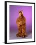 ALF-null-Framed Art Print