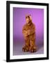 ALF-null-Framed Art Print