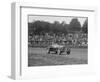 Alfa Romeo Monza of Kenneth Evans racing at Crystal Palace, London, 1939-Bill Brunell-Framed Photographic Print