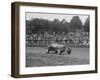 Alfa Romeo Monza of Kenneth Evans racing at Crystal Palace, London, 1939-Bill Brunell-Framed Photographic Print