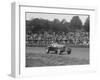 Alfa Romeo Monza of Kenneth Evans racing at Crystal Palace, London, 1939-Bill Brunell-Framed Photographic Print