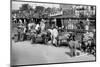 Alfa Romeos in the pits at the RAC TT Race, Ards Circuit, Belfast, 1929-Bill Brunell-Mounted Photographic Print