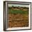 "Alfalfa Field,"July 1, 1948-Herb Zeck-Framed Giclee Print