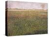 Alfalfa, St. Denis, 1885-Georges Seurat-Stretched Canvas