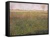 Alfalfa, St. Denis, 1885-Georges Seurat-Framed Stretched Canvas