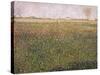 Alfalfa, St. Denis, 1885-Georges Seurat-Stretched Canvas