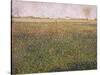 Alfalfa, St. Denis, 1885-Georges Seurat-Stretched Canvas