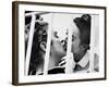 Alfie, 1966-null-Framed Photographic Print