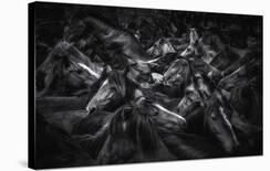 Acorralados-Alfonso Maseda Varela-Framed Giclee Print