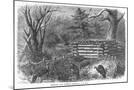Wood Mount