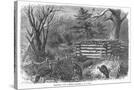 Stretched Canvas