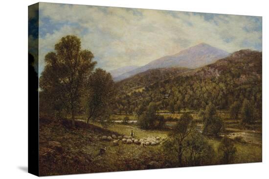 Stretched Canvas Print, , large