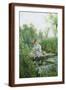 Brown Frame