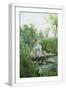 White Frame