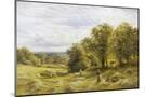 Wood Mount