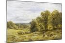 Wood Mount