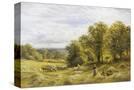 Stretched Canvas